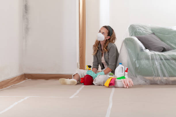 Reliable Mold Cleanup contractor in Delaplane, VA by Cheap Mold Removal